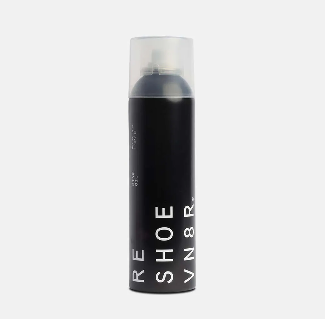 EXECUTIVE SHOE CLEANING KIT